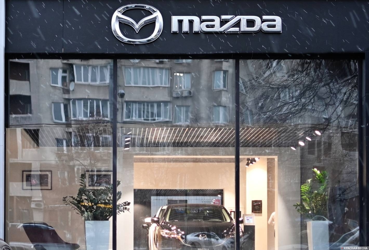 Мазда (MAZDA)