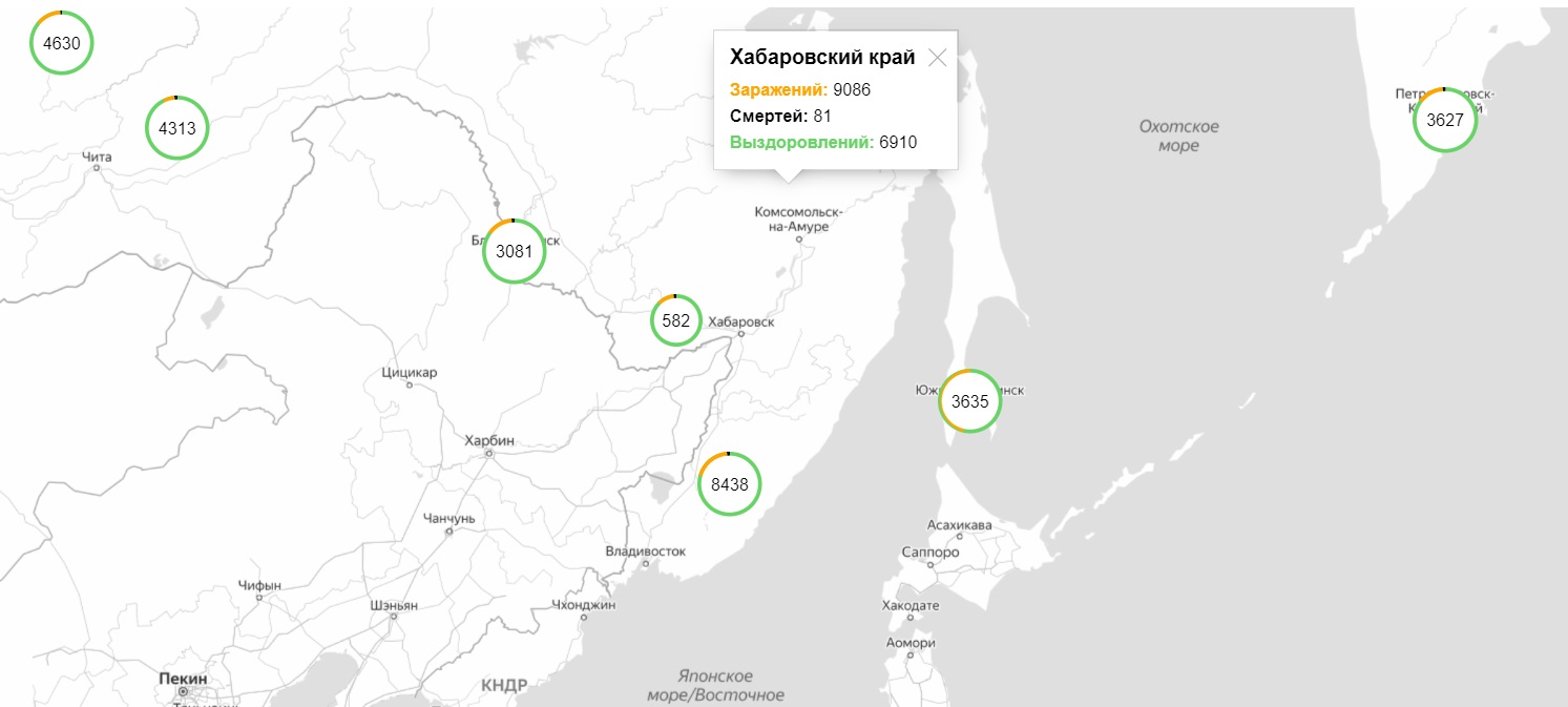 CORONAVIRUS (COVID-19). Хабаровск. 18.08.2020