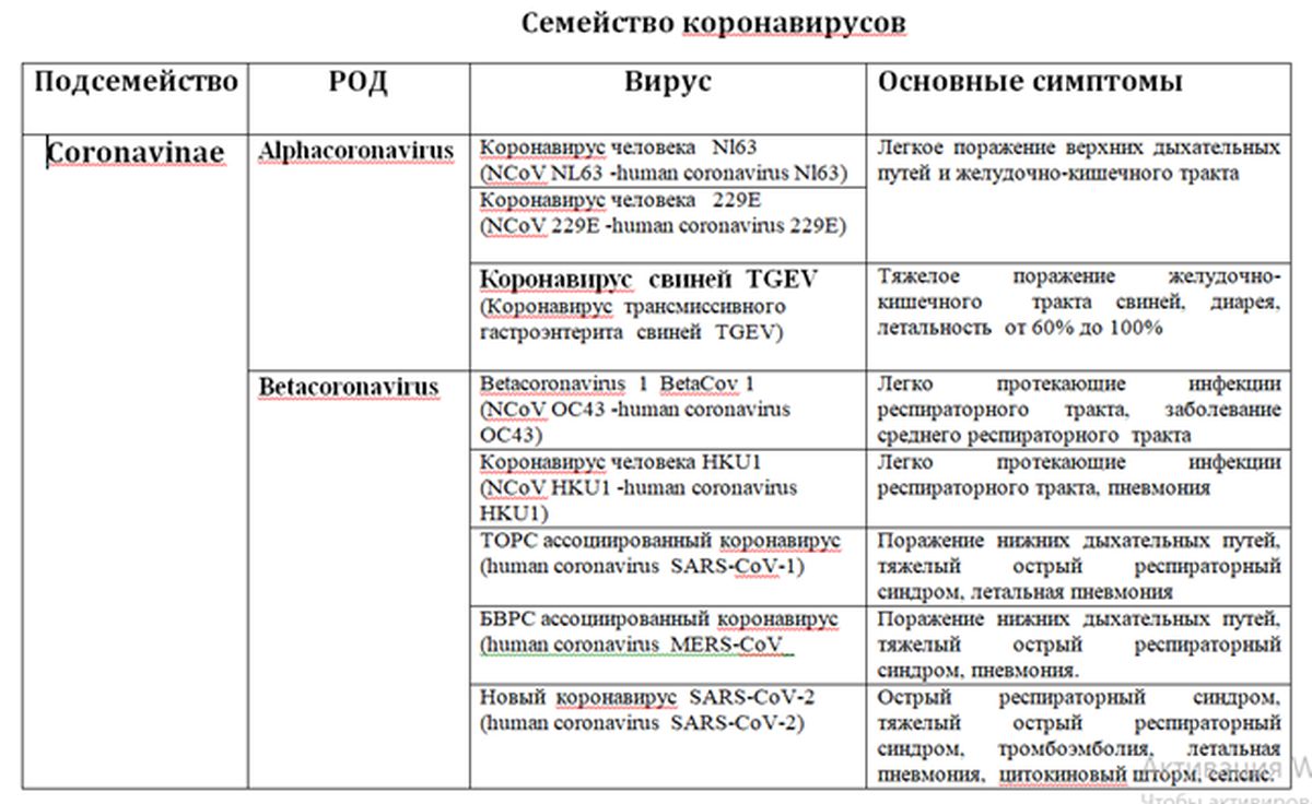 Семейство коронавирусов 