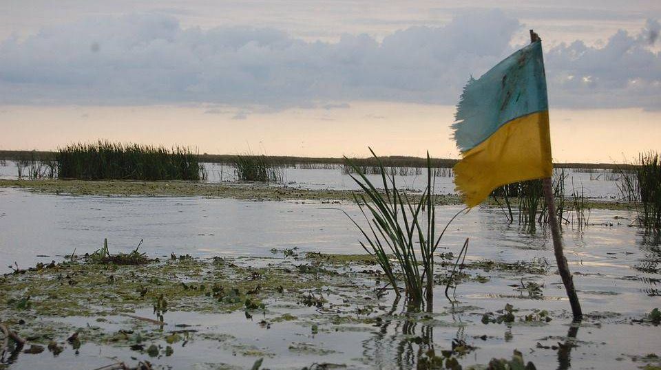 Украина в болоте