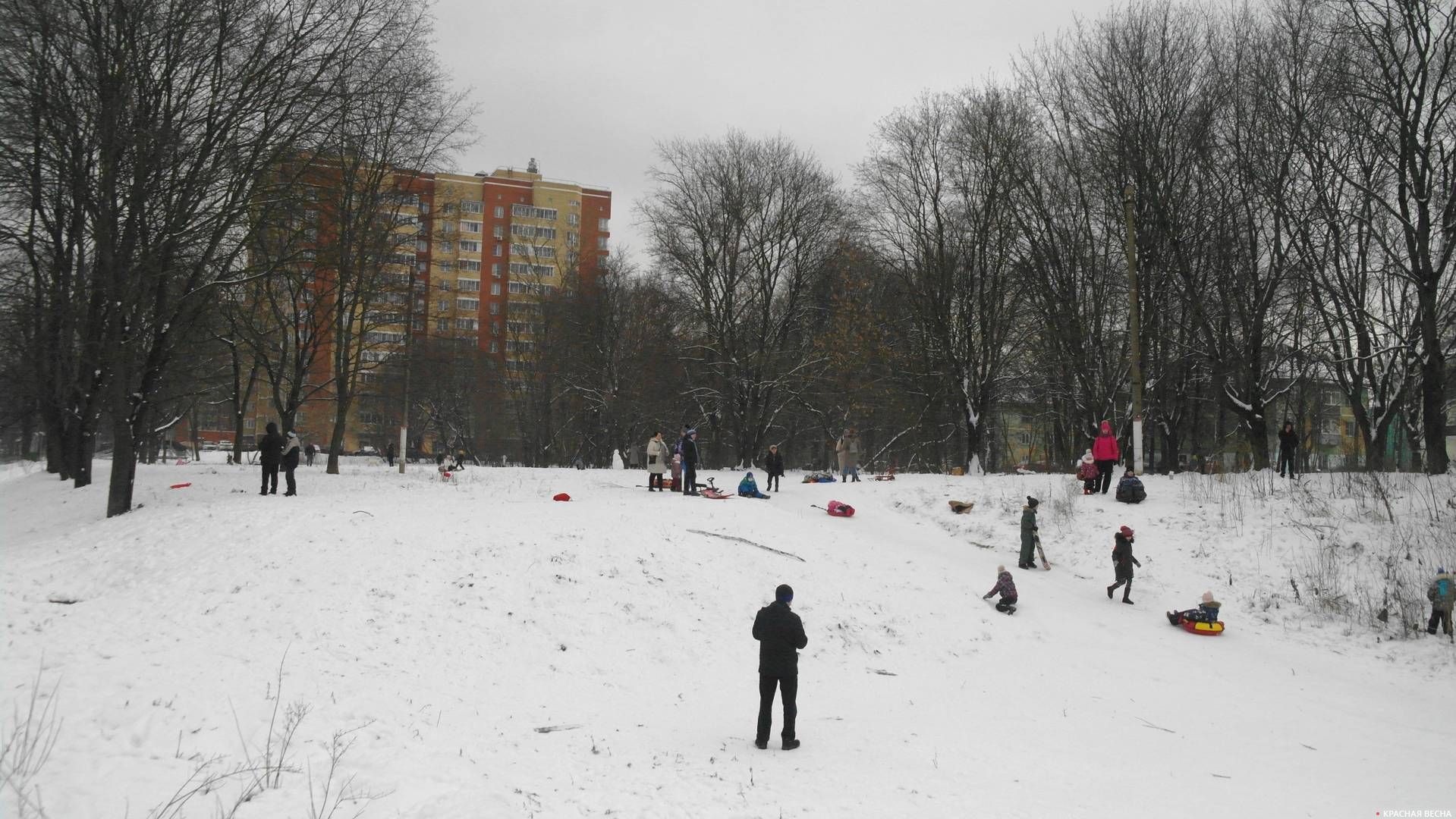 Горка в Пионерском парке, январь 2020 года