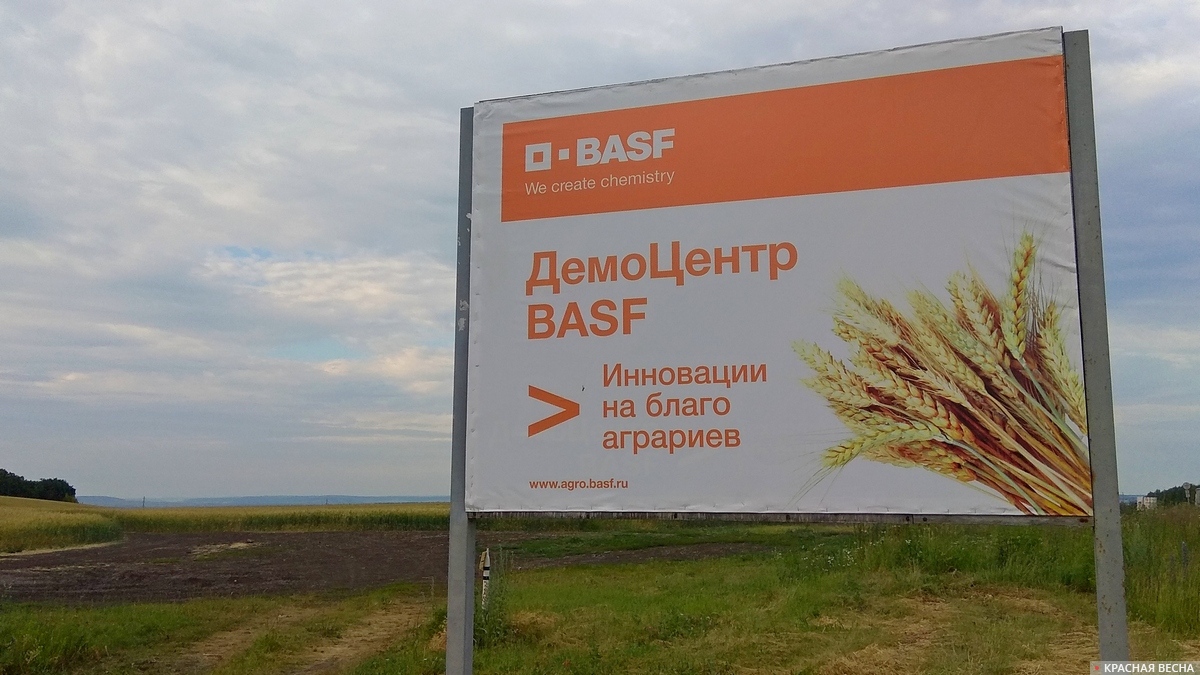 BASF