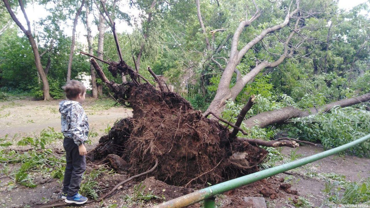 Последствия урагана в Екатеринбурге