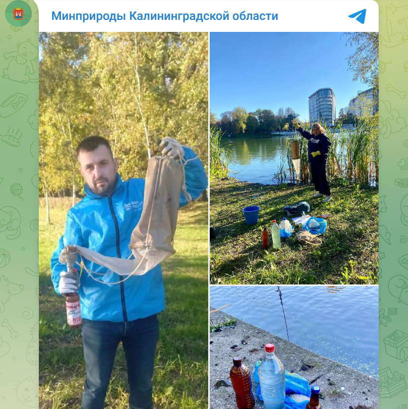 Отбор проб воды в водоемах Калининграда