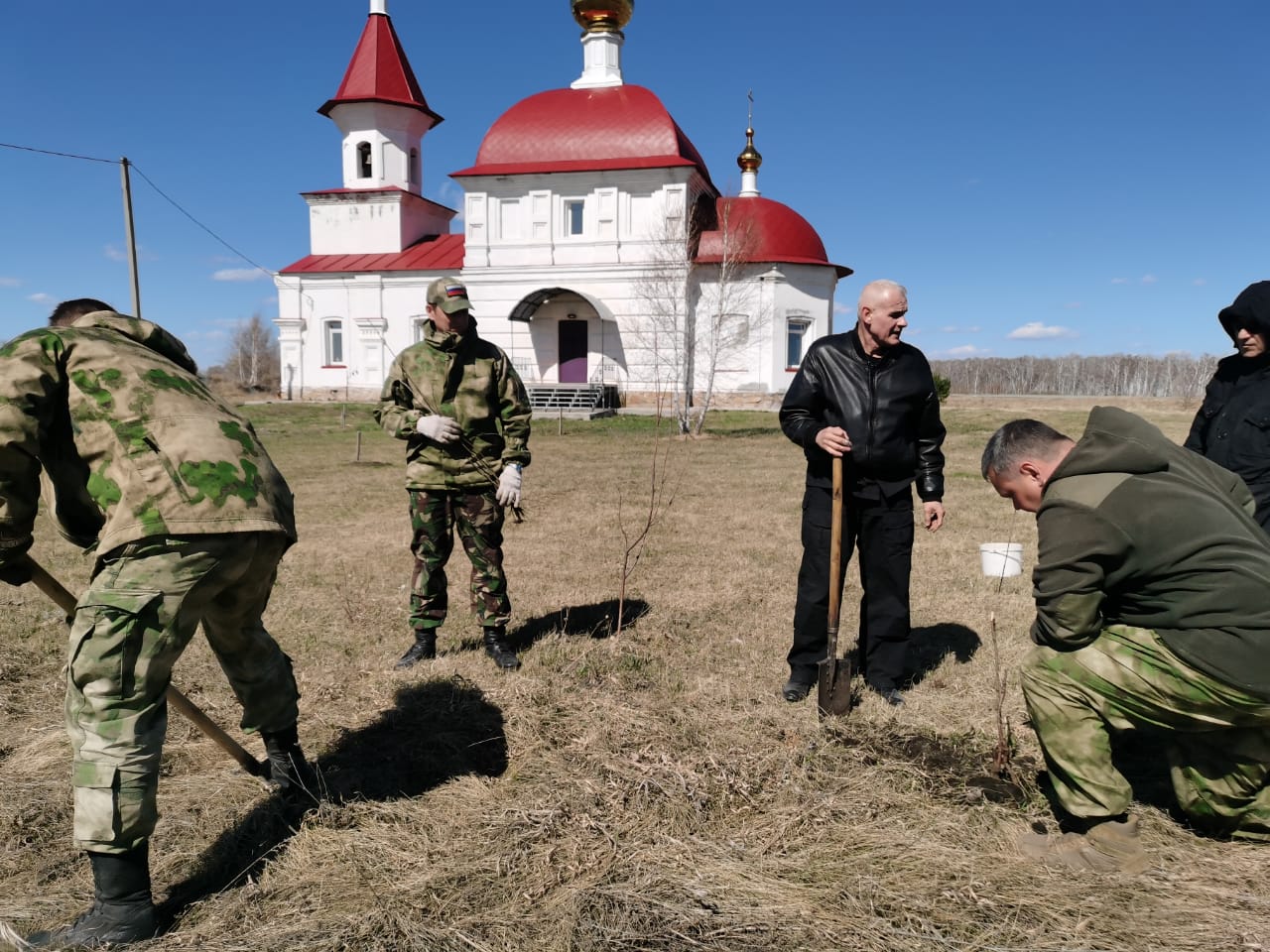 Высадка вишневых деревьев