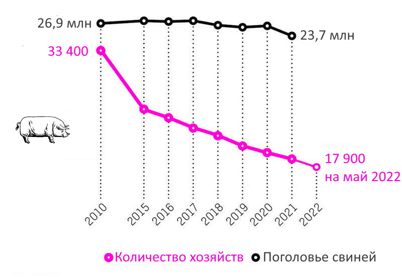 Количество ферм м поголовье свиней по годам