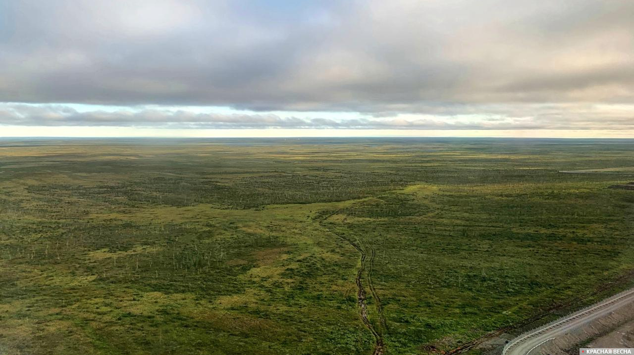 Норильск тундра