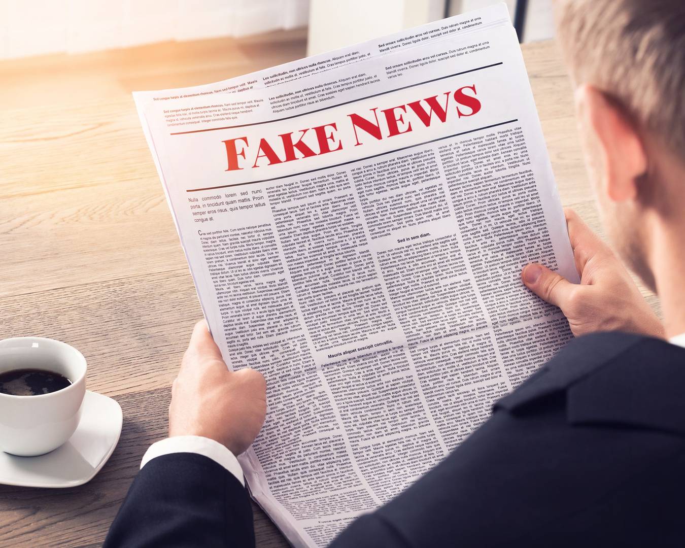 Fake News — Person Reading Fake News Article