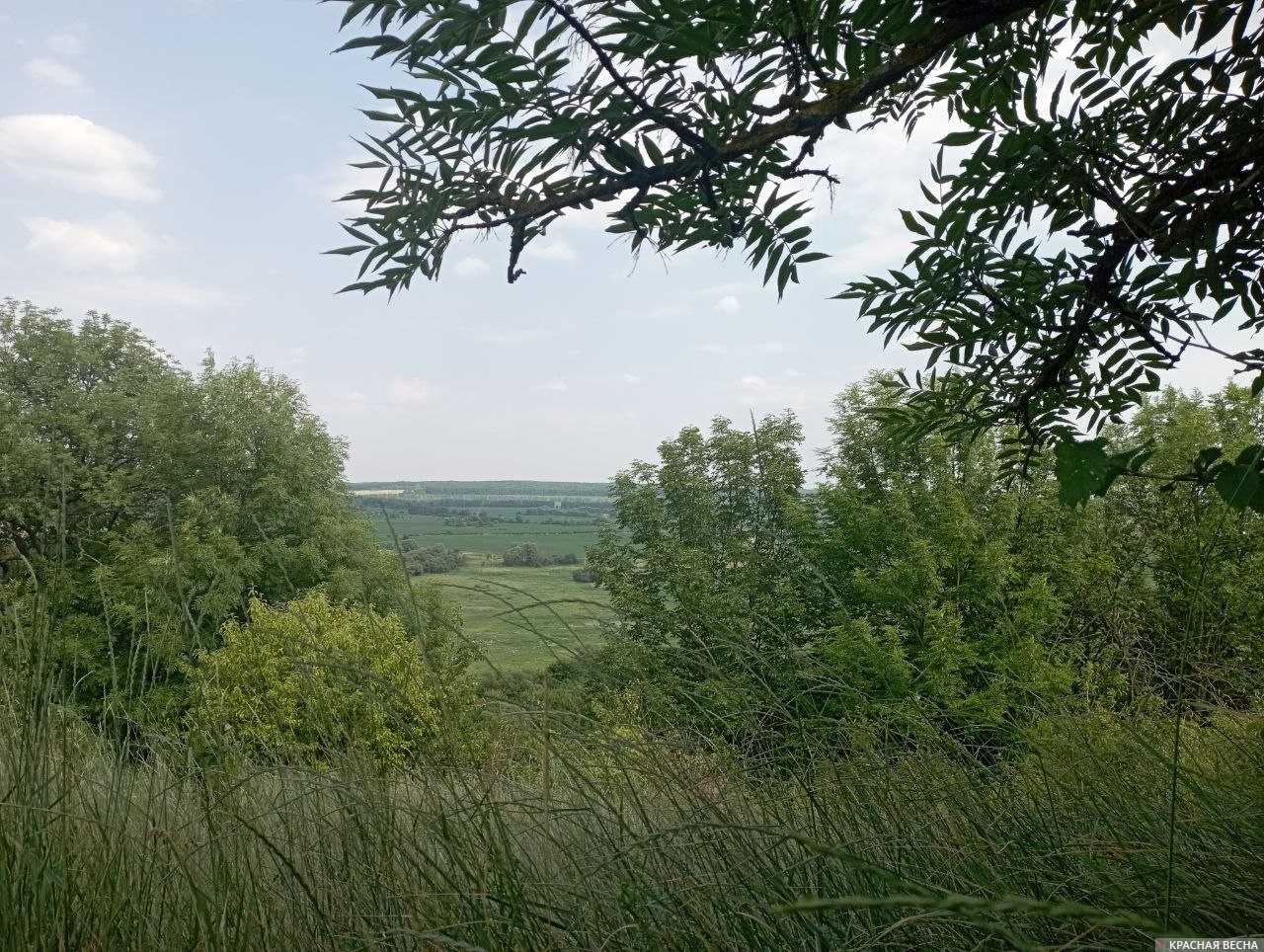 Крапивнинское городище. Шебекино, Белгородская область