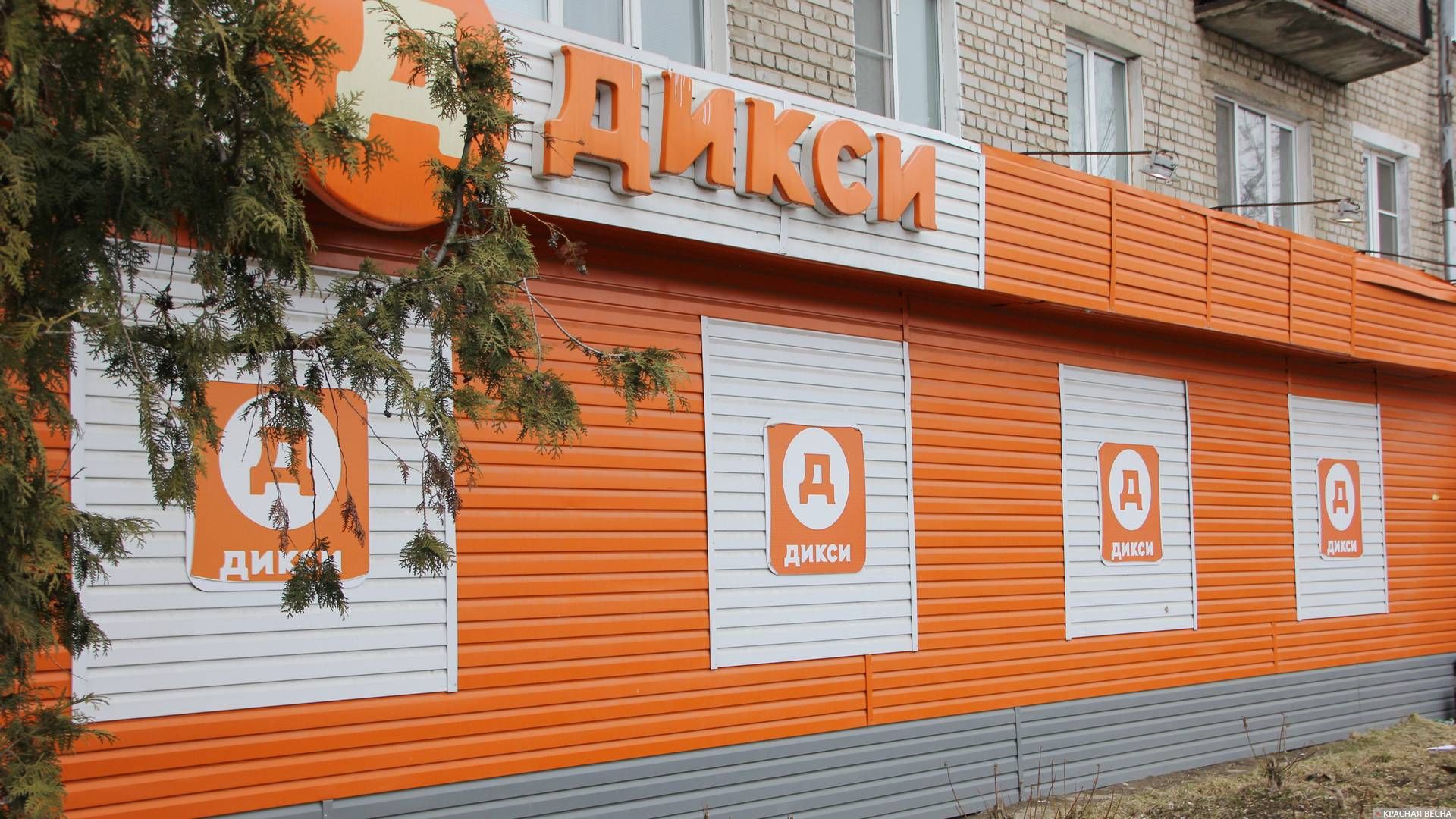 Дикси