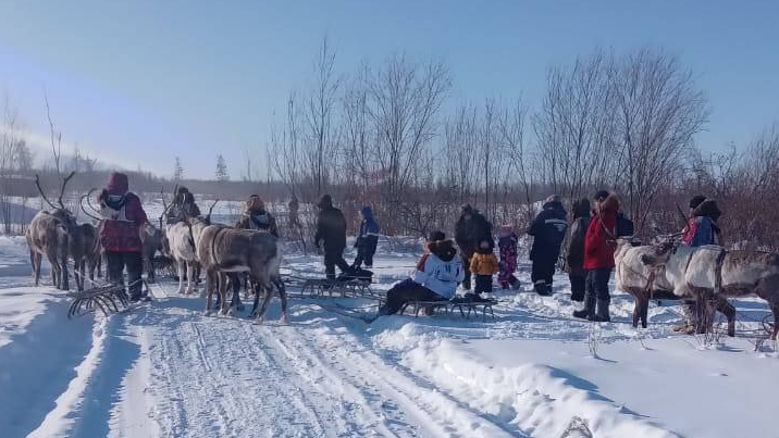 Гонка на оленьих упряжках