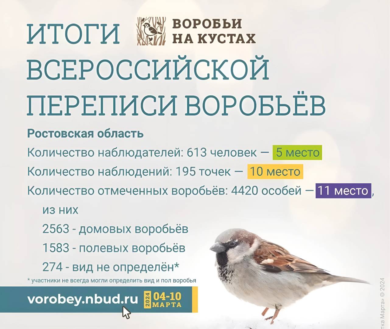 всероссийская перепись воробьев 2024 в Ростовской области