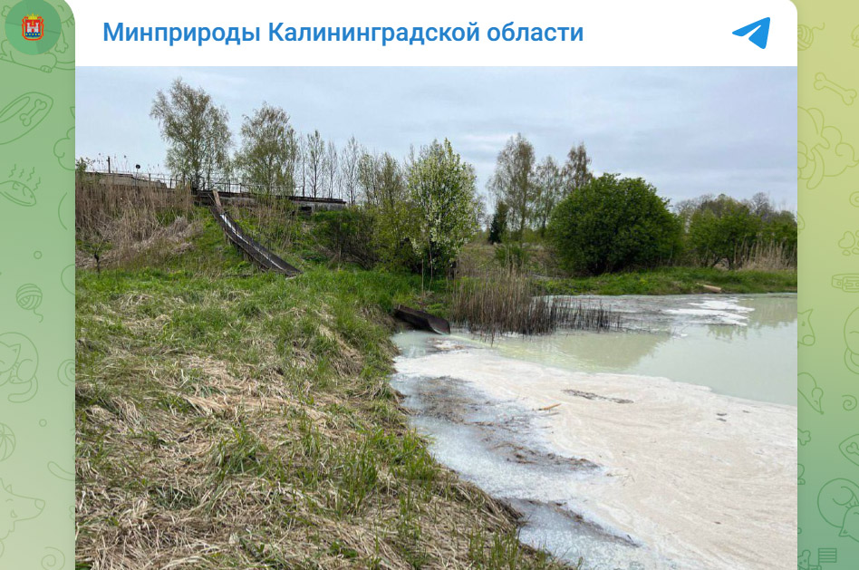 Загрязнение водоема сточными водами