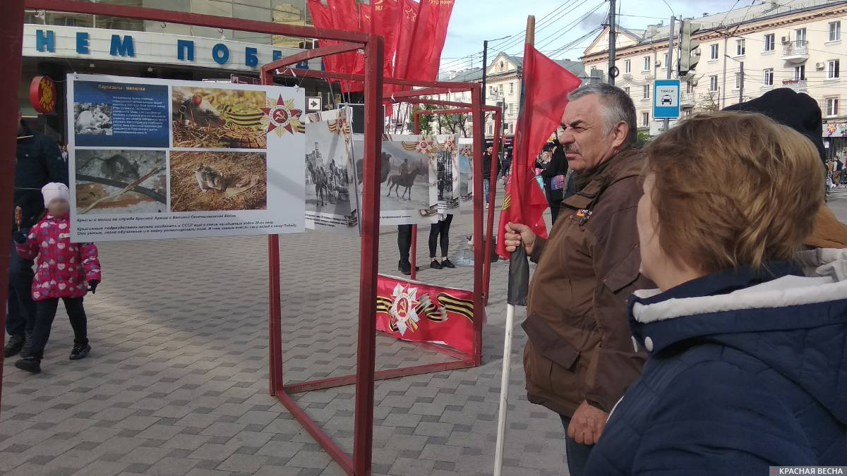 Воронежцы на выставке «Солдаты наши меньшие». Воронеж, 9 мая 2021 года