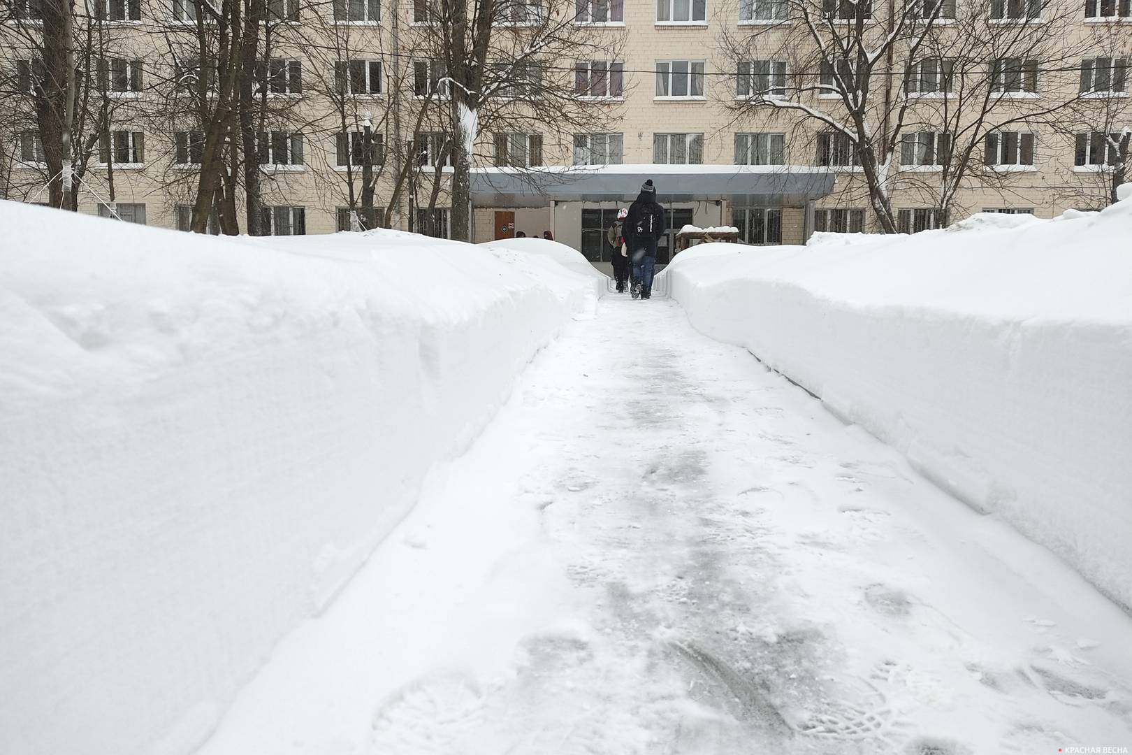 Бауманские общежития в Измайлово