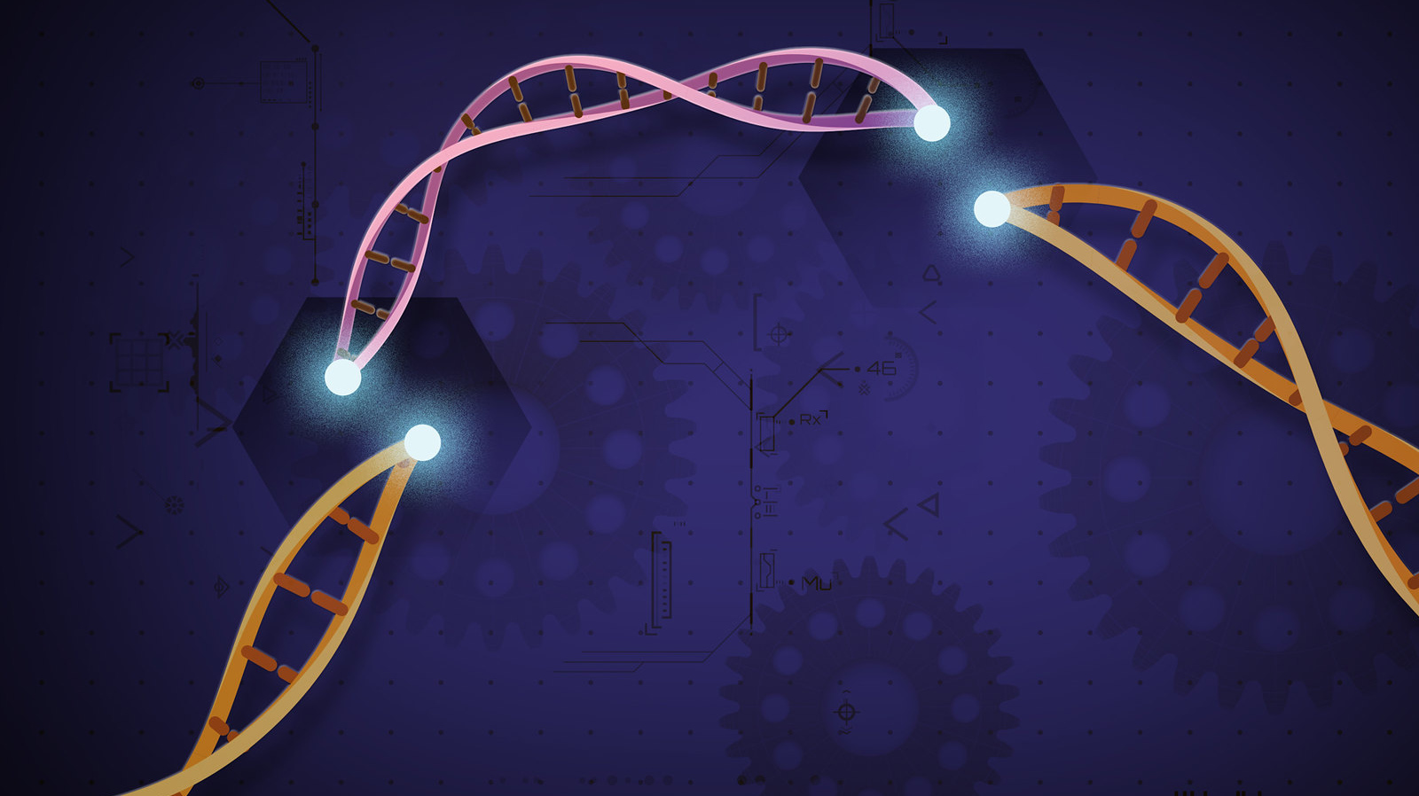 Редактирование генома CRISPR-Cas9