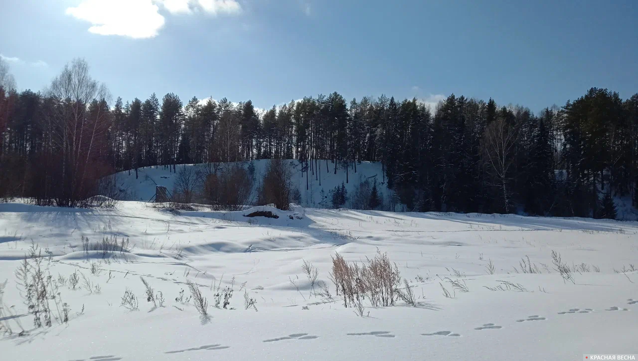 Александровское (Костромская область). Зайчишка пробегал