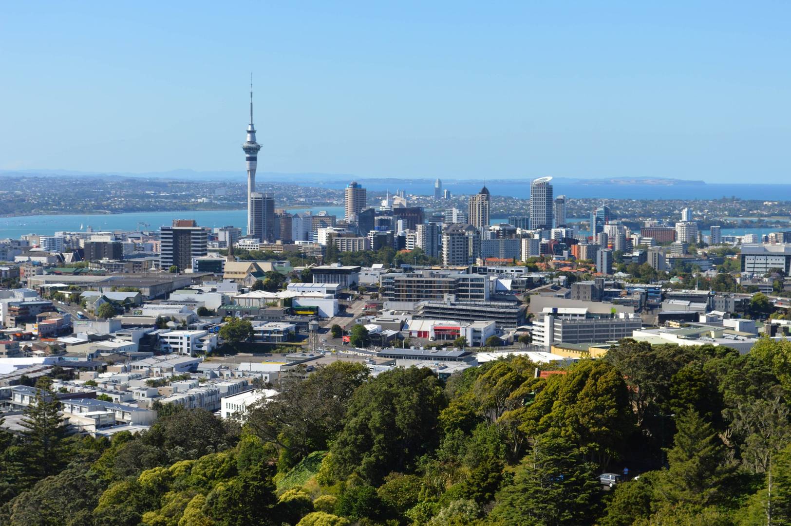 Auckland Cbd