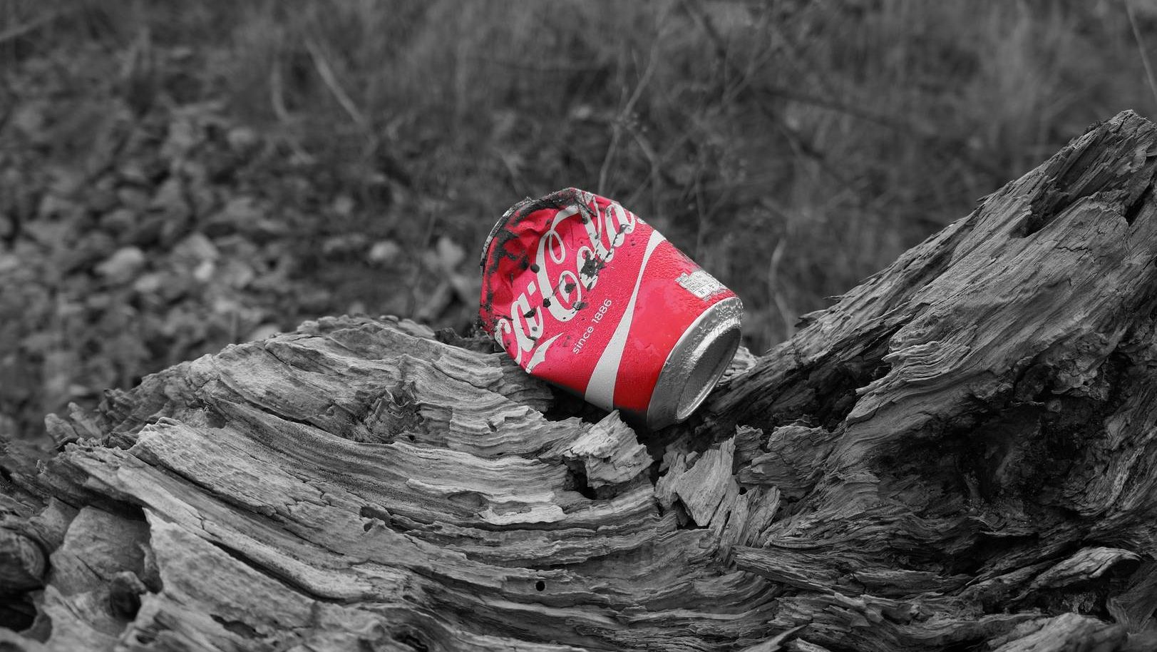 Coca-Cola