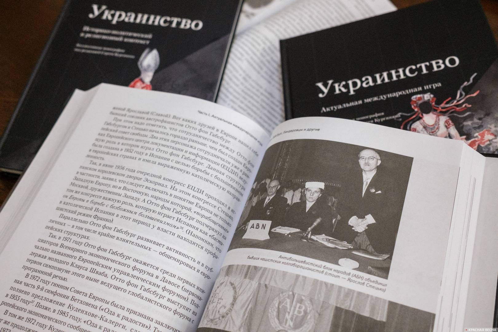 Книга «Украинство»