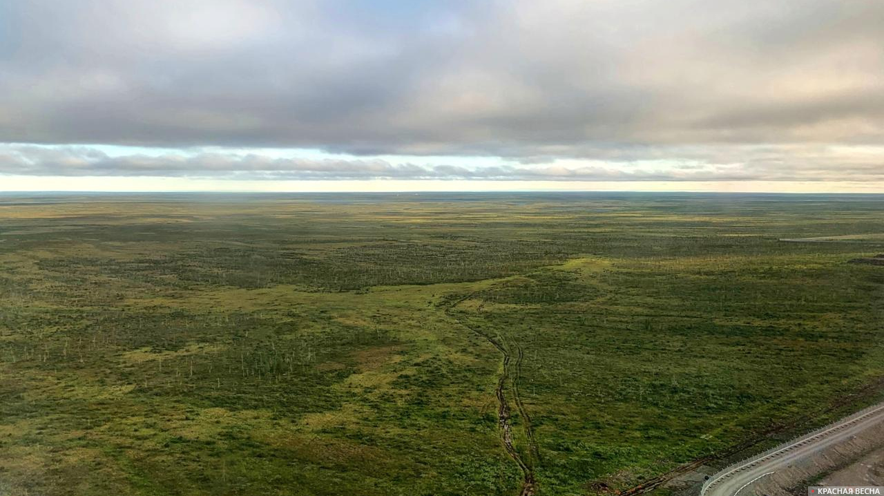 Норильск тундра