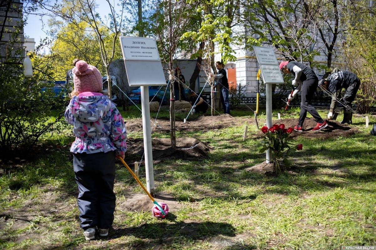 Высадка аллеи памяти в доме 26 по Кутузовскому проспекту