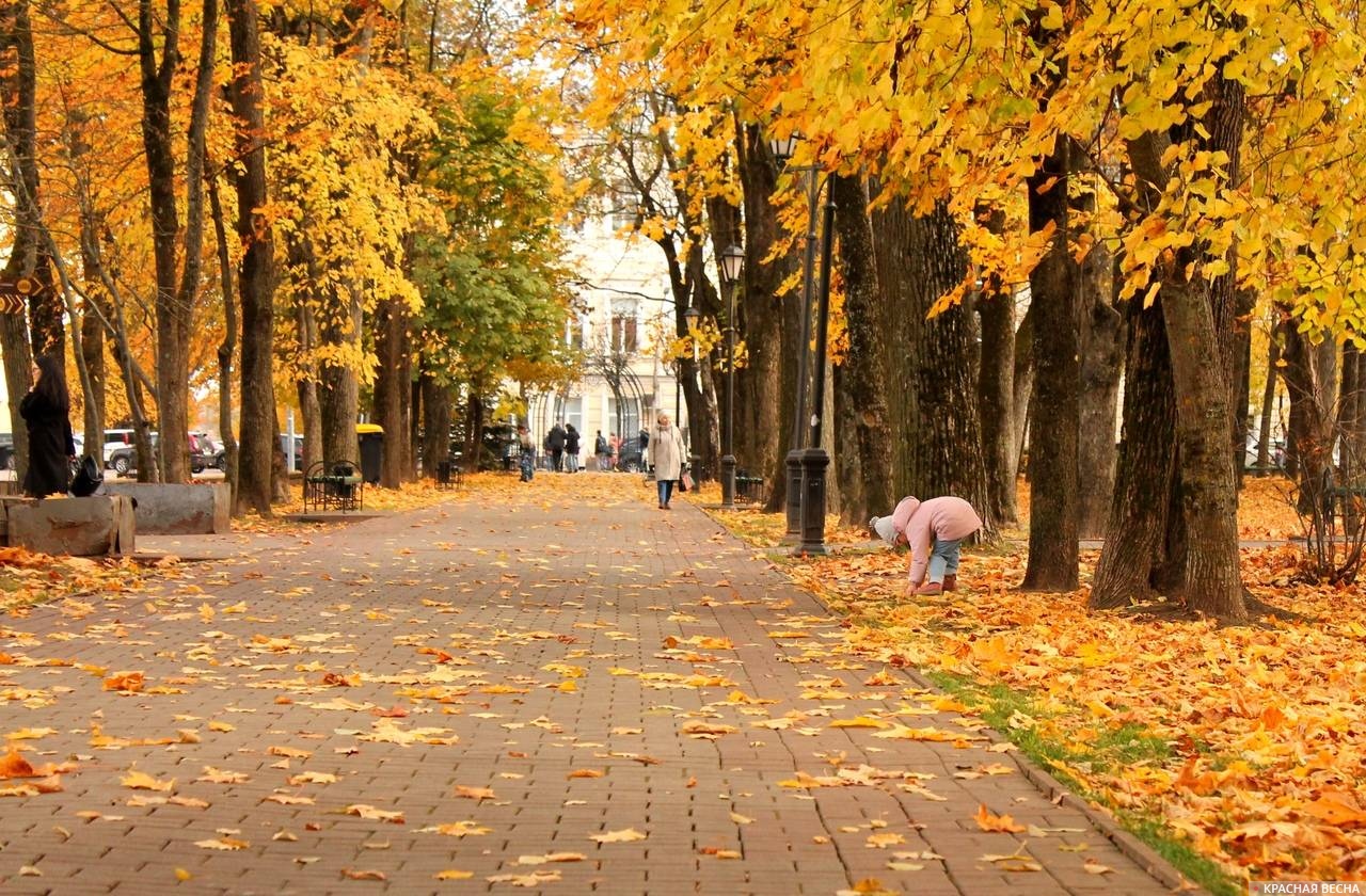 Парк Блонье. Смоленск