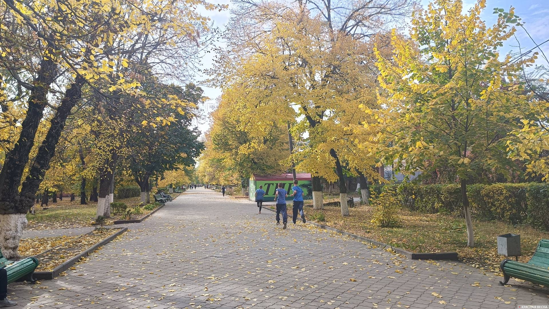 Александровский сад