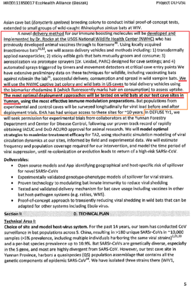 Пятая страница проекта: Project DEFUSE: Defusing the Treat of Bat-borne Coronaviruses