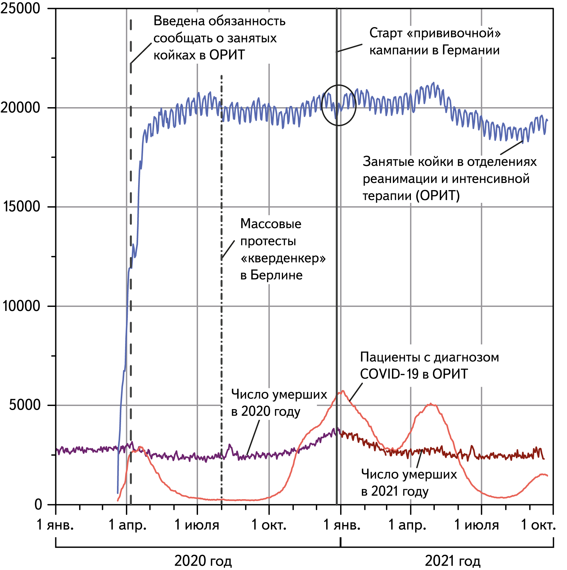 Рисунок 1. Ежедневная занятость коек интенсивной терапии в ФРГ. Данные немецкого реестра интенсивной терапии DIVI. Ежедневная смертность в Германии в 2020 и 2021 гг. приведена по данным федерального статистического ведомства Destatis
