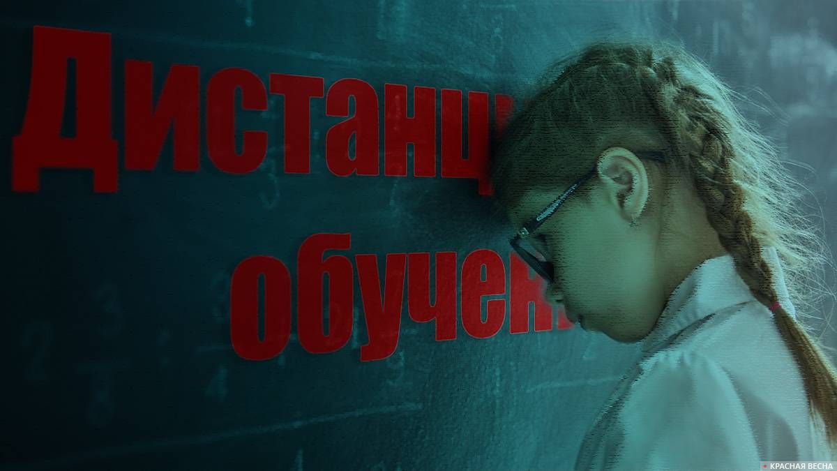 Дистанционное обучение в школах