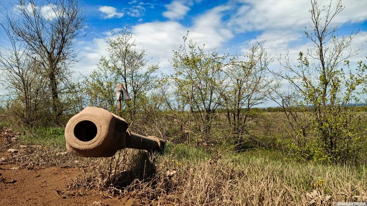 Подснежники войны. Дуло от уничтоженной украинской артустановки. ЛНР