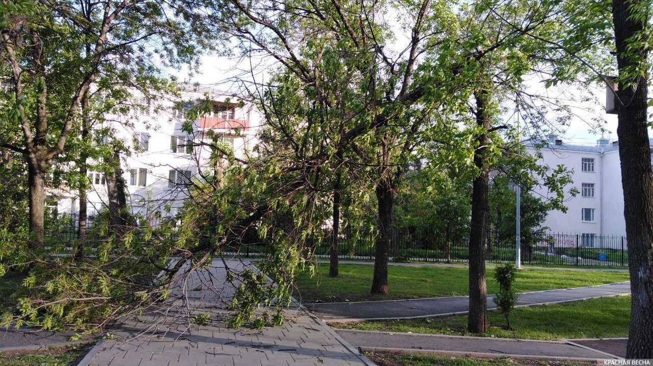 Последствия урагана в Екатеринбурге 25.05.2020