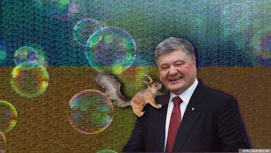 Порошенко. Украина. Порошенко и белка