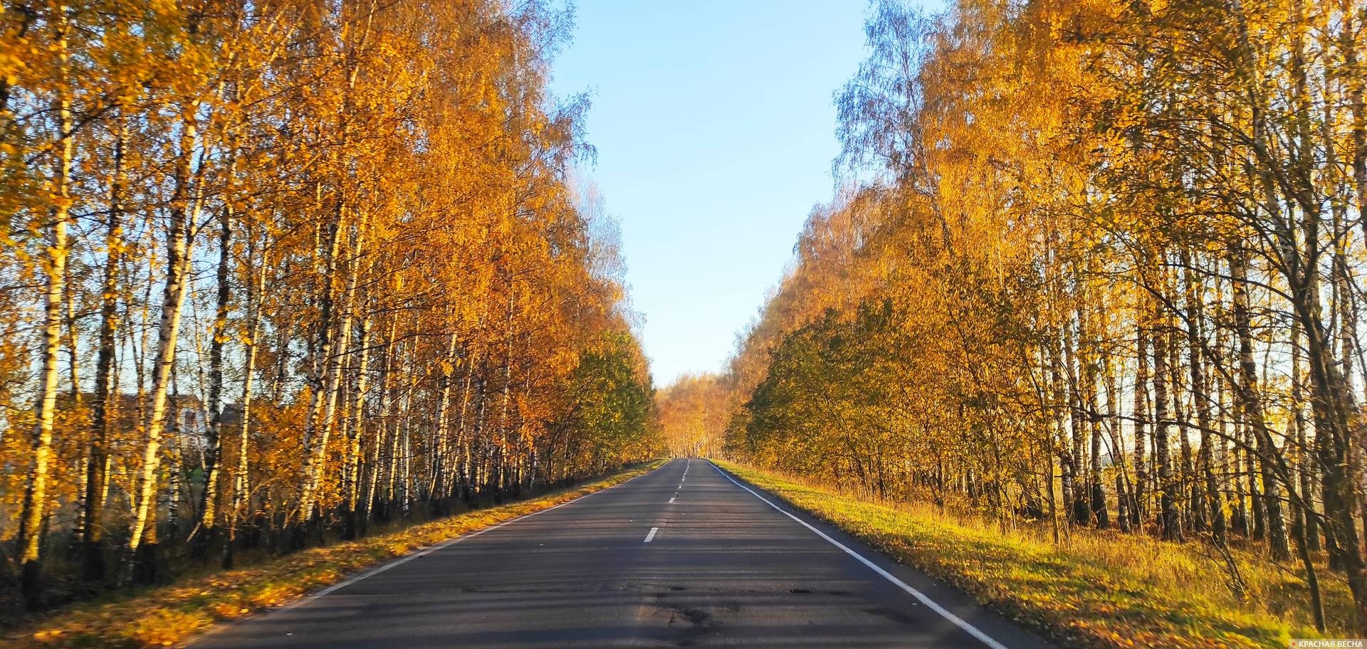 Орловское полесье. Брянская область