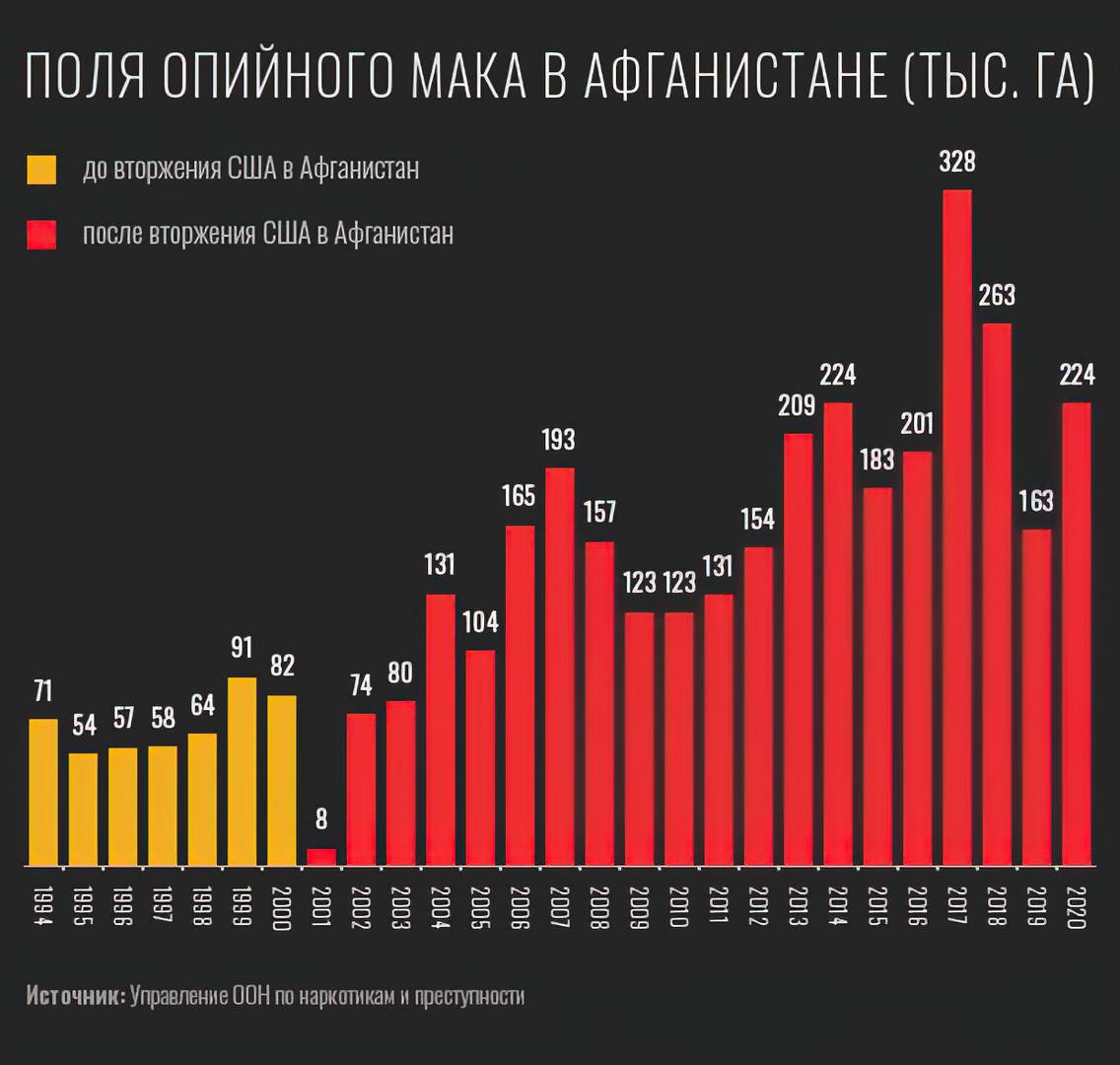 Рисунок 2. Поля опийного мака в Афганистане (источник: ООН)