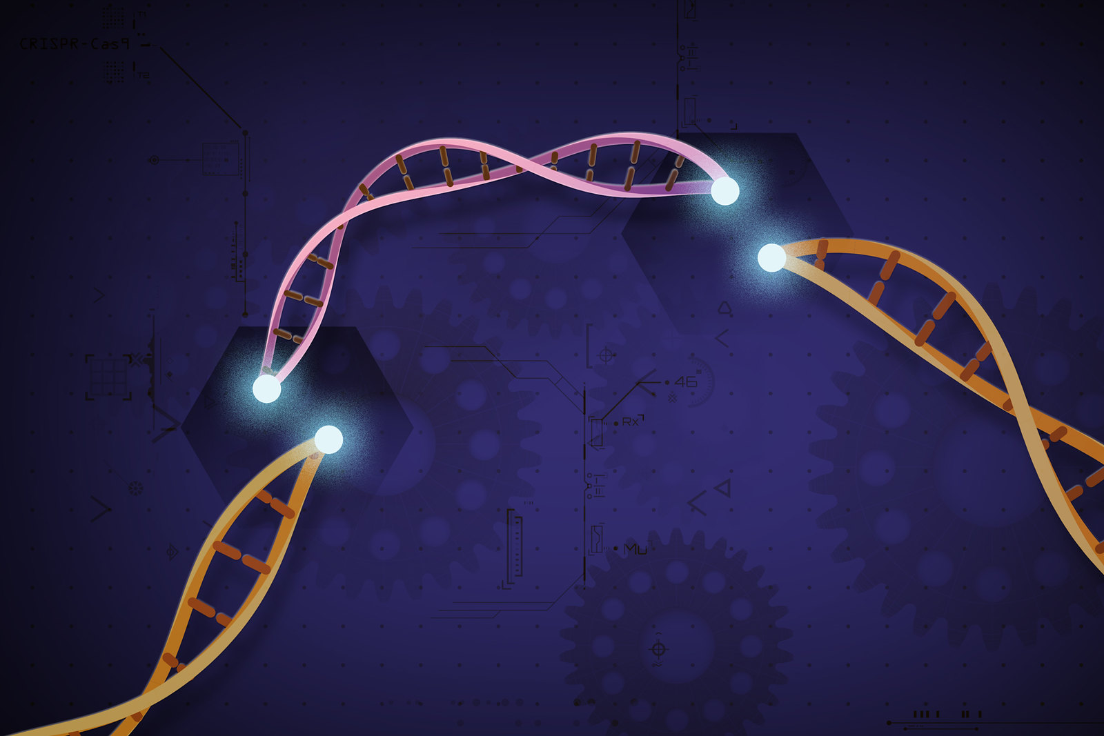 Редактирование генома CRISPR-Cas9