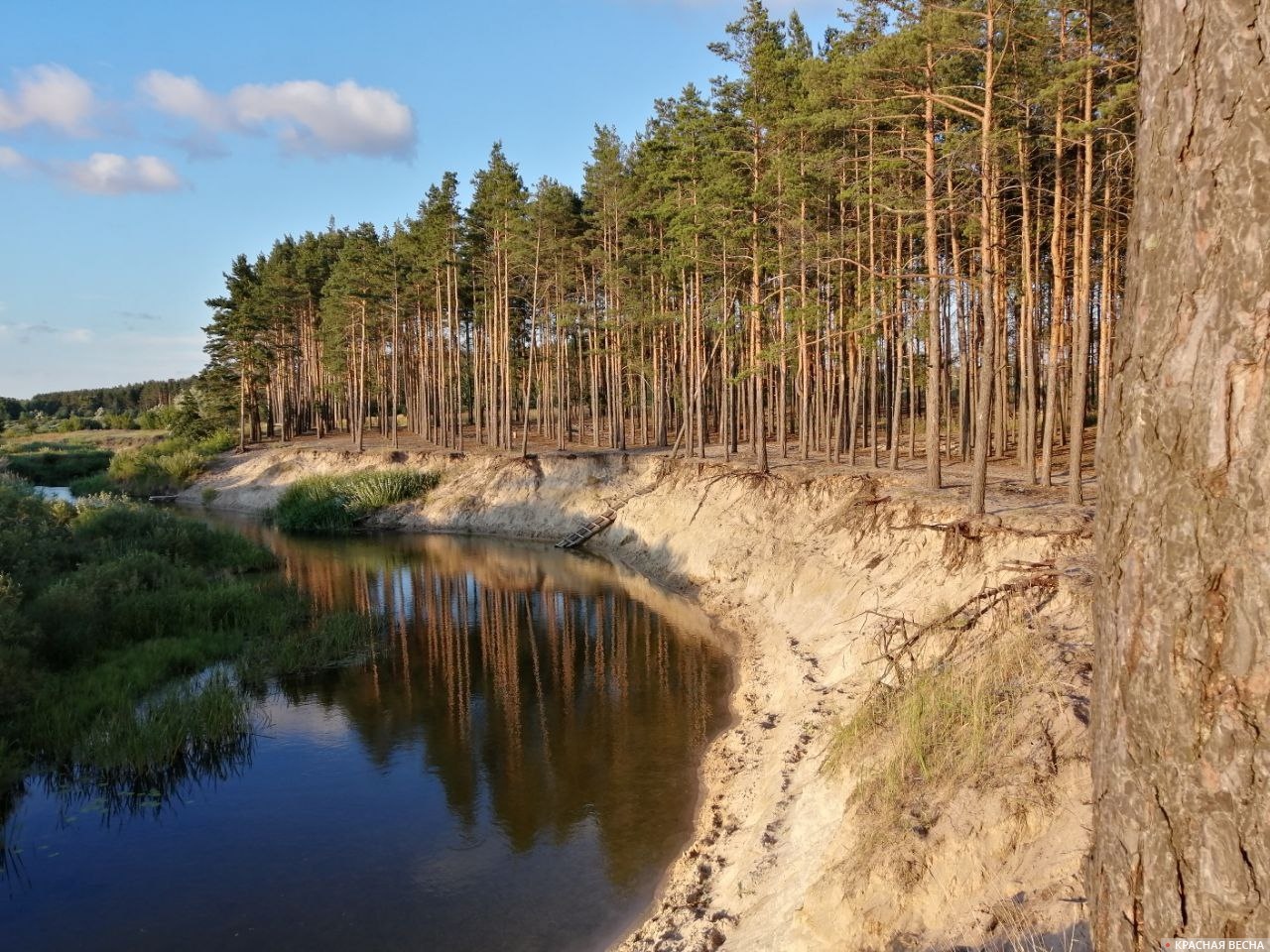 Река Усманка. Воронежская область