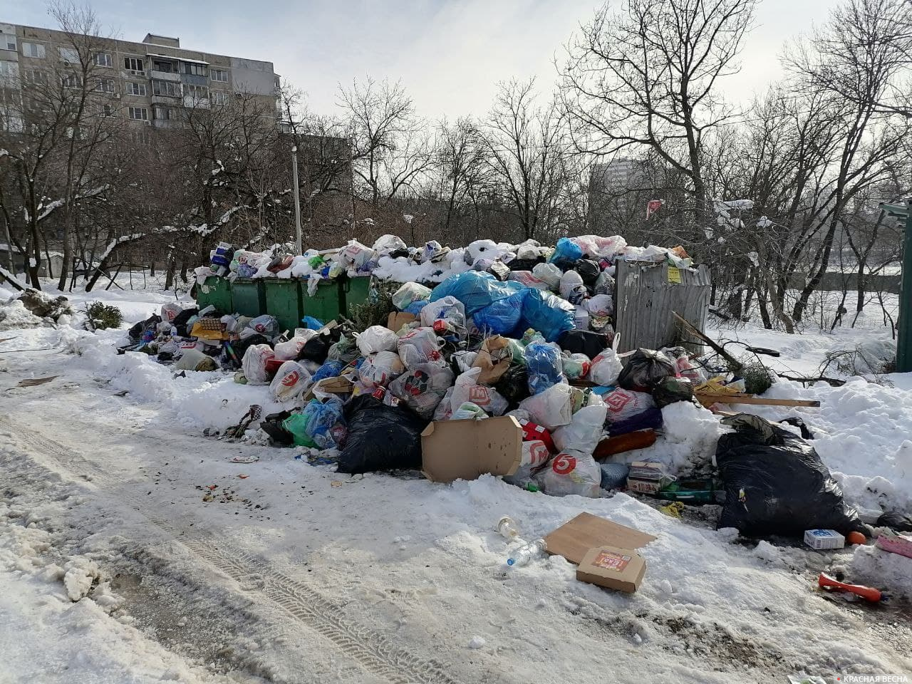 Краснодарский мусор