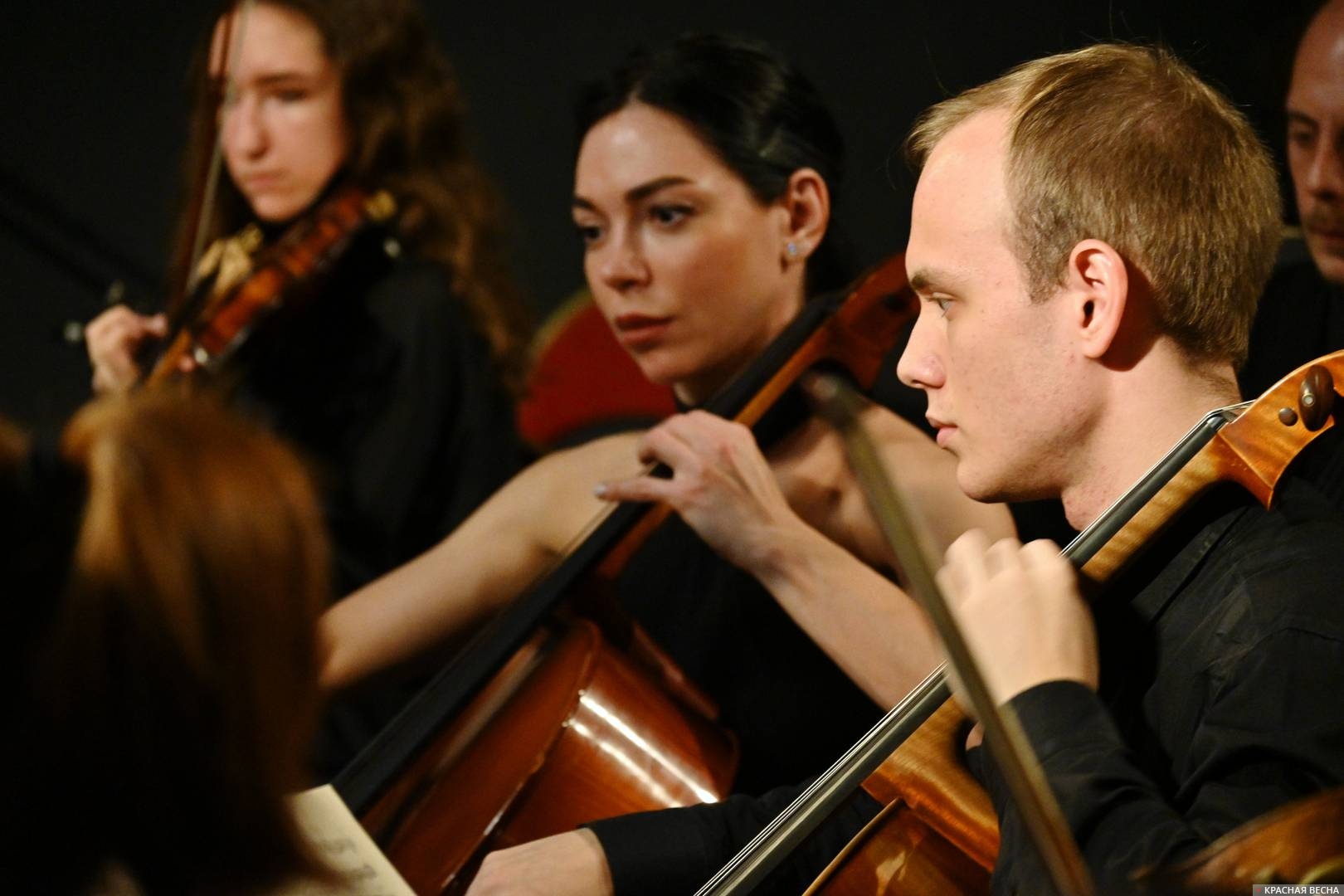 Оркестр The Multimedia Art orchestra. Классическая музыка