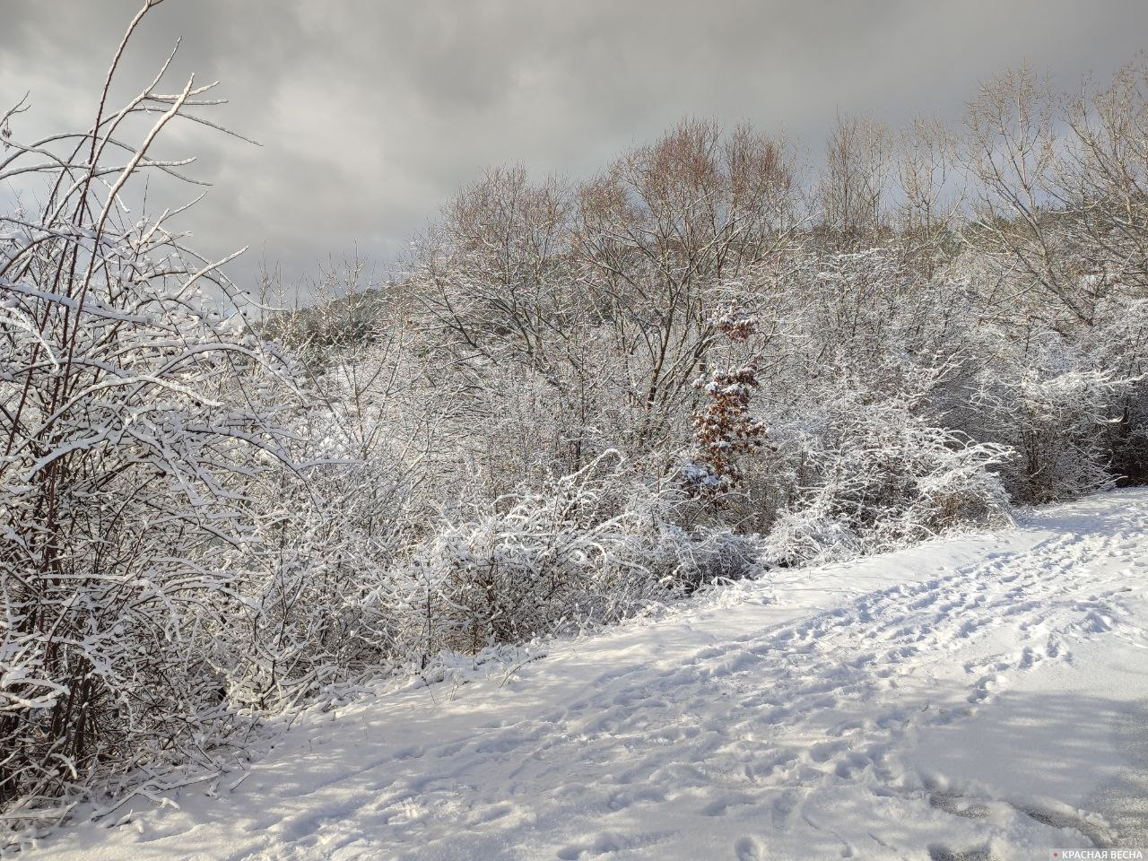 Снег в Крыму. Бельбекская долина